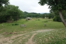 ZOO Dvůr Králové