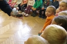 Den zvířat v ZŠ Semín