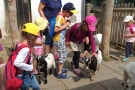 Výlet do ZOO Chleby