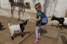 Výlet do ZOO Chleby