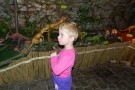 DSCN7966
